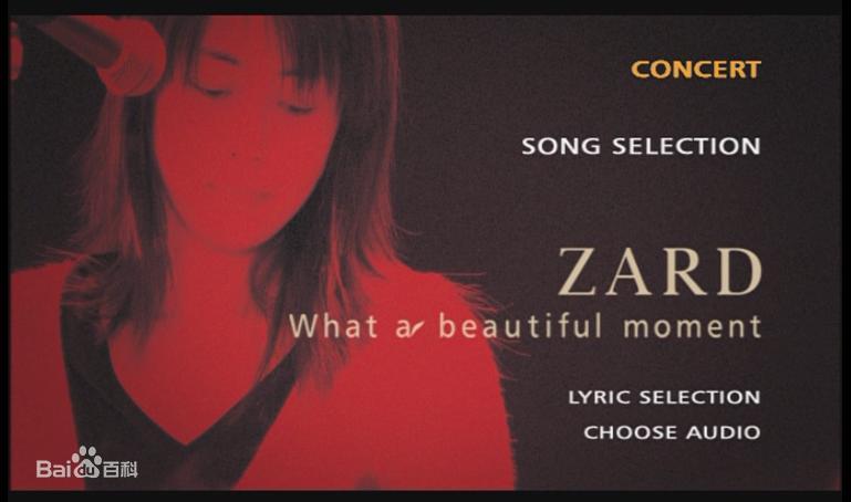 坂井泉水 ZARD 《What a beautiful moment 演唱会》 2004 演唱会 [DVD ISO 7.45G+1.35G]