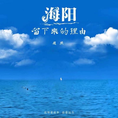 海阳-留下来的理由 – Single – 赵照-无损音乐