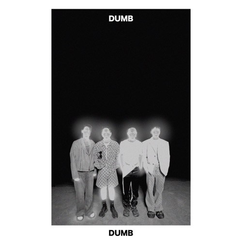 Dumb – Single – 傻子与白痴-无损音乐