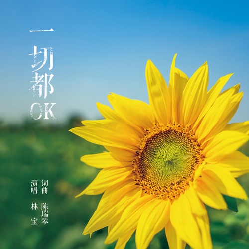 一切都OK – Single – 林宝-无损音乐