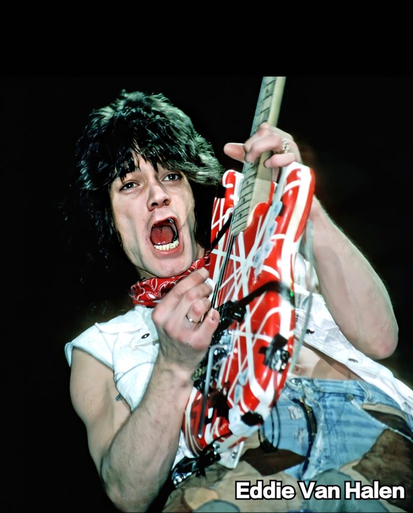 范海伦大合集/Van Halen/Live/MV/（24DVD 《ISO153.66GB》 演唱会 [24DVD-ISO153.66GB]