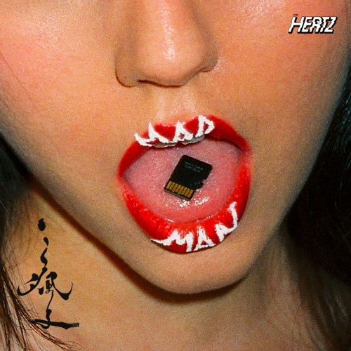 疯子 – Single – The Hertz-无损音乐