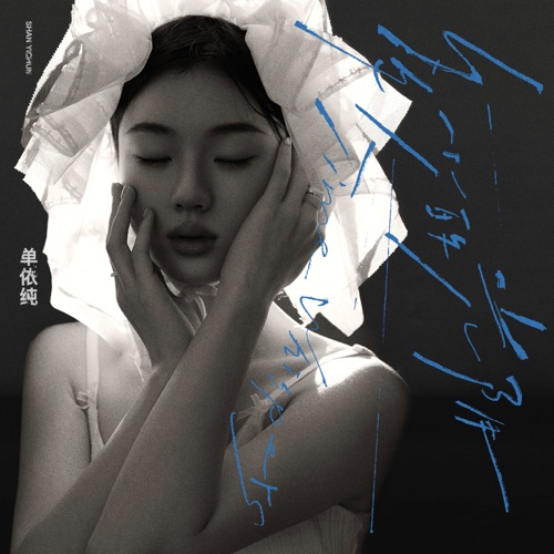多少的光阴 – Single – 单依纯-无损音乐