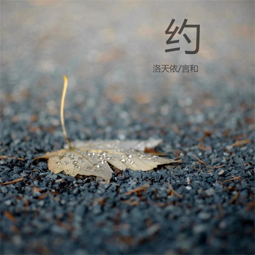 约 – Single – 洛天依 & 言和-无损音乐