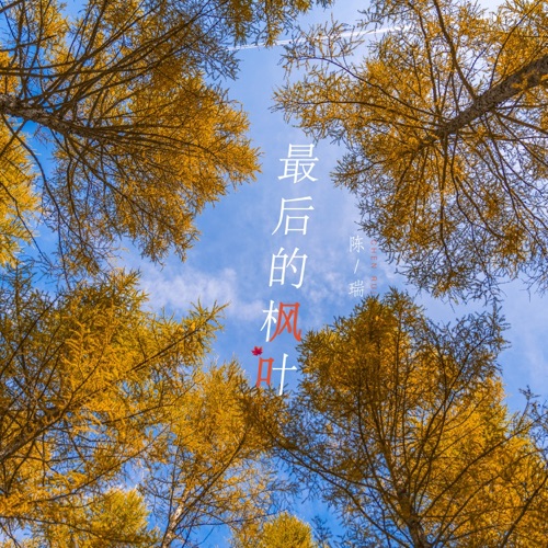 最后的枫叶 – Single – 陈瑞-无损音乐
