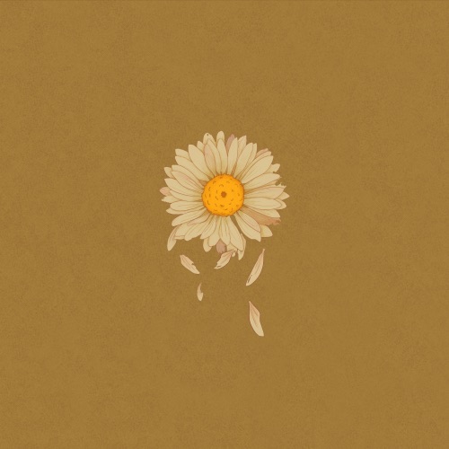 Daisy – Single – 柳爽-无损音乐