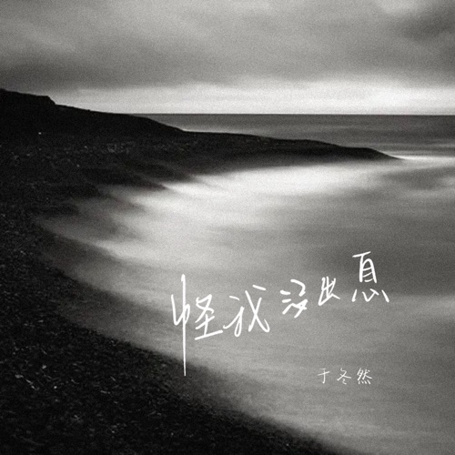 怪我没出息 – Single – 于冬然-无损音乐