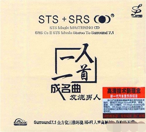 一人一首成名曲·发烧男人 – 群星 [6.1声道]-无损音乐