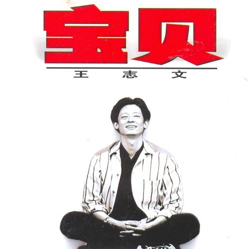 王志文 宝贝-无损音乐