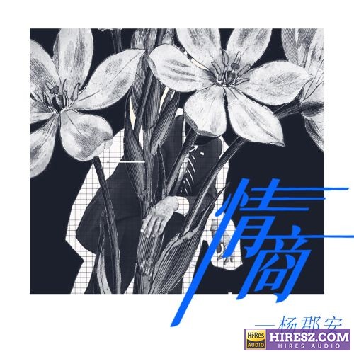 杨郡安单曲合辑-无损音乐