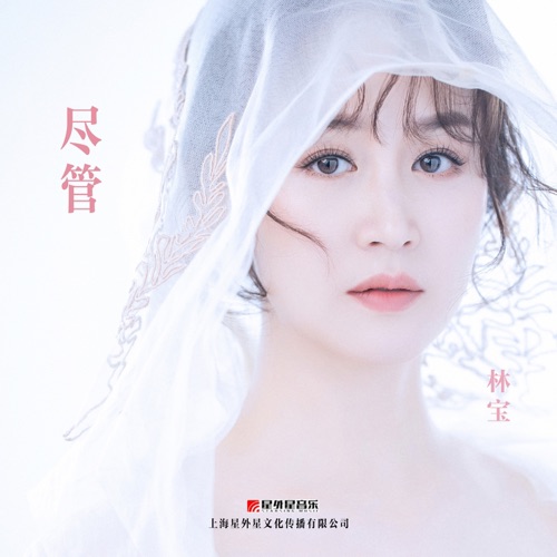 尽管 (中文版) – Single – 林宝-无损音乐