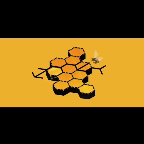 HONEY – EP-无损音乐