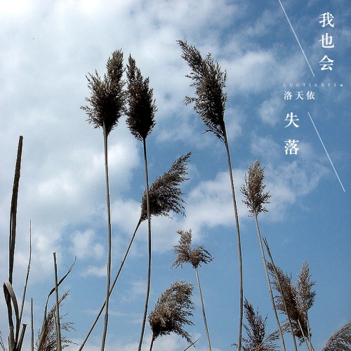 我也会失落 – Single – 洛天依-无损音乐