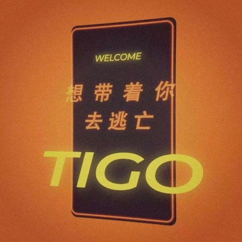 想带着你去逃亡 – Single – TIGO-无损音乐
