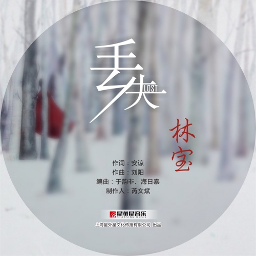 丢失 – Single – 林宝-无损音乐