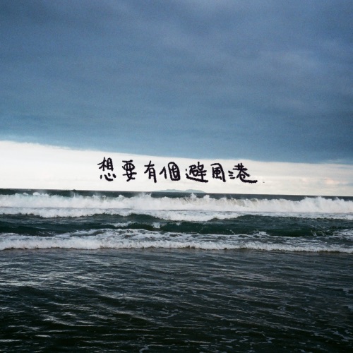 想要有个避风港 – Single – 老王乐队-无损音乐