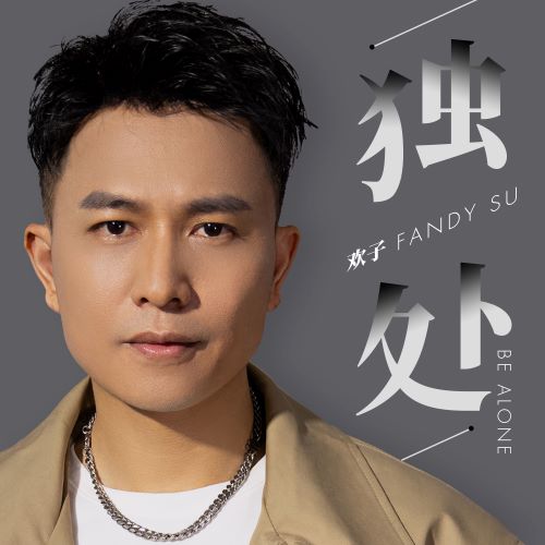 欢子单曲合辑-无损音乐