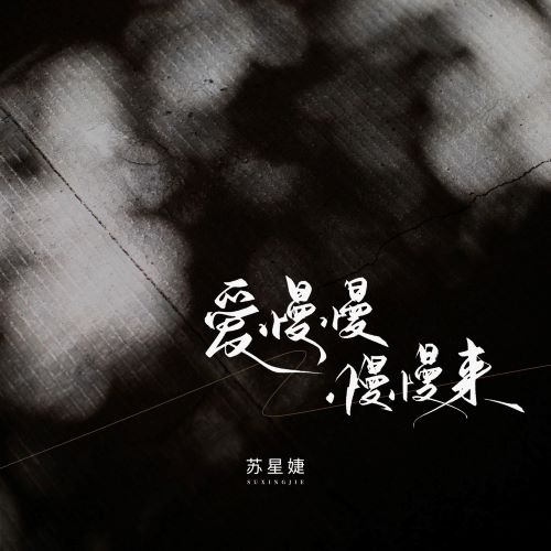 苏星婕单曲合集(变速版)【51曲】-无损音乐