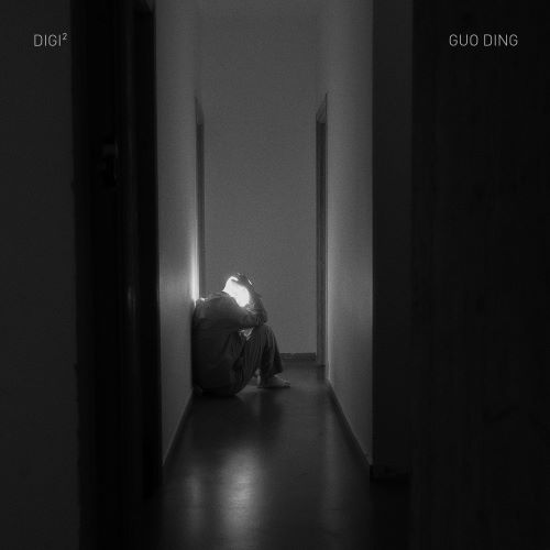 郭顶 DIGI²-无损音乐