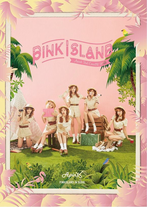 《Apink 2nd Concert Live DVD PINK ISLAND》 2015 演唱会 [DVD ISO双碟 10.95G]-无损音乐
