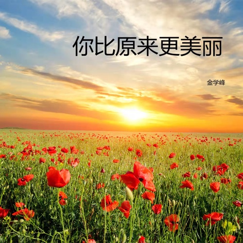 你比原来更美丽 – Single – 金学峰-无损音乐