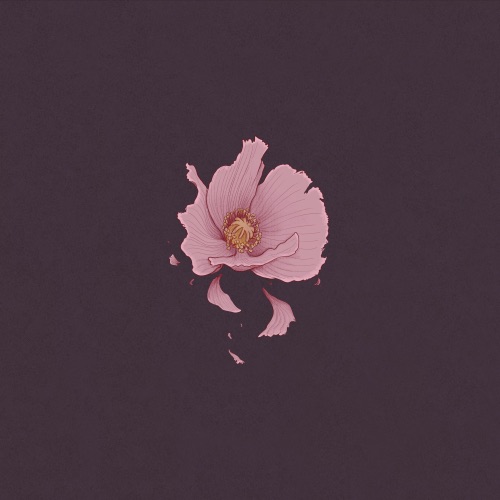 丑花:Somuns – Single – 柳爽-无损音乐