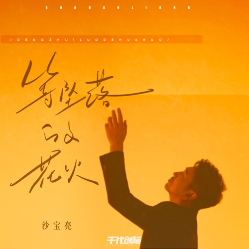等坠落的花火 – Single – 沙宝亮-无损音乐
