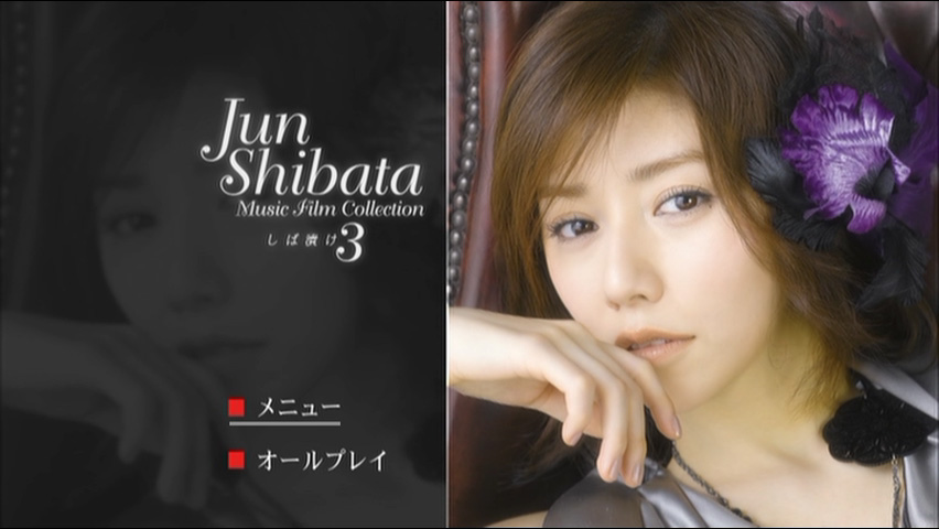 柴田淳 《Jun Shibata Music Film Collection しば漬け3》 2008 演唱会 [DVD ISO 5.71GB]