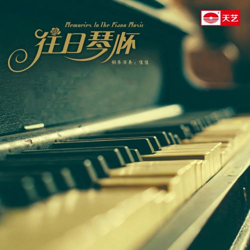 佳佳 往日琴怀-无损音乐