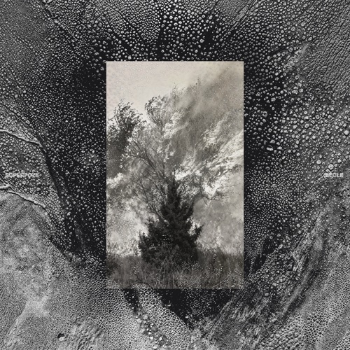Siècle – Superpoze-无损音乐