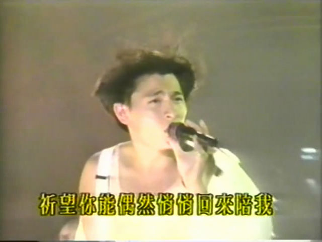 刘德华 《热浪劲爆音乐会》 1993 演唱会 [DVD ISO 6.46G]