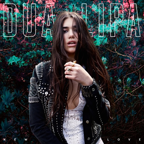 New Love – Single – Dua Lipa-无损音乐