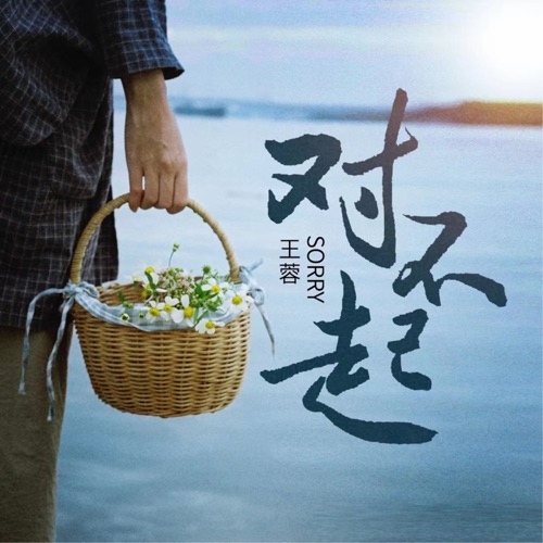 对不起 – Single – 王蓉-无损音乐