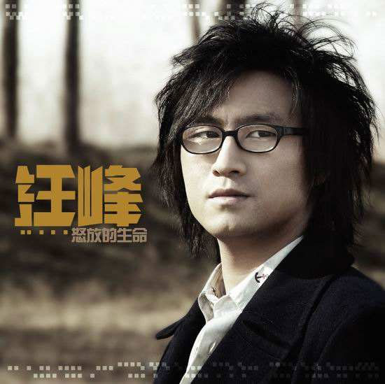 汪峰 《飞的更高 精选》 Hi-Res无损专辑 [Hi-Res Flac 2.72GB]-无损音乐/蓝光演唱会