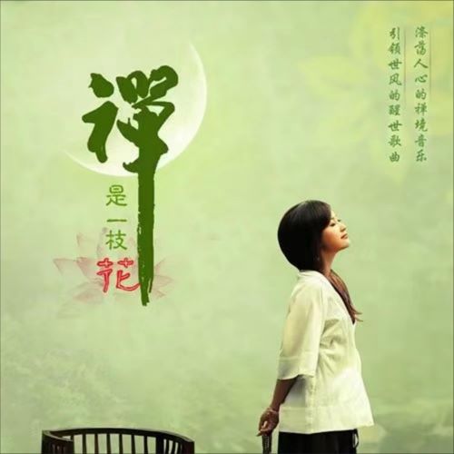龚玥 禅是一枝花-无损音乐