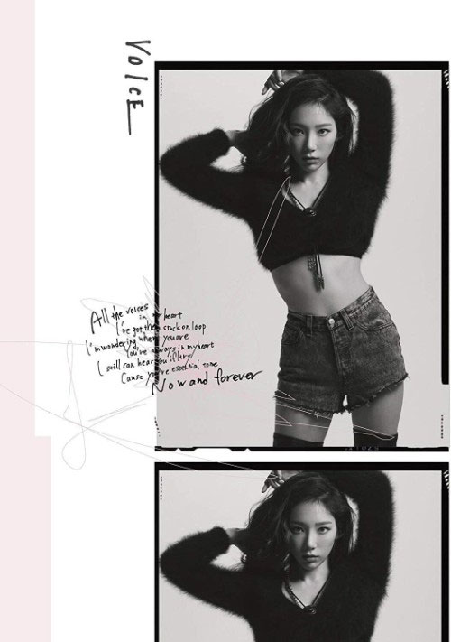 Taeyon 태연 《VOICE Live DVD》 2019 演唱会 [DVD ISO 4.18GB]-无损音乐