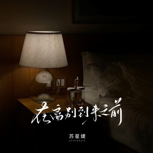 苏星婕单曲合集（广播版）【258曲】-无损音乐