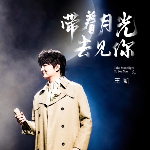 带着月光去见你 – Single – 王凯-无损音乐