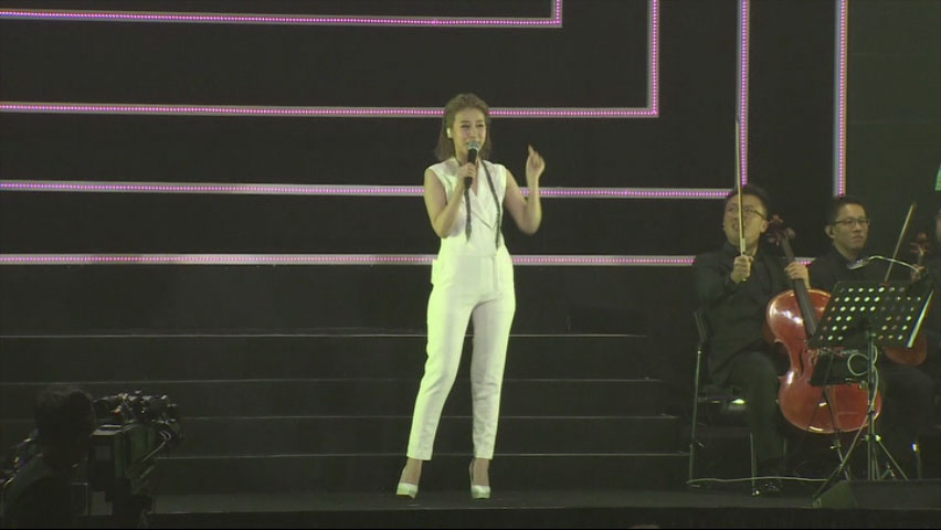 《陈洁丽 15 Concert 演唱会 2CD+DVD》 2017 演唱会 [DVD ISO 1.88GB]