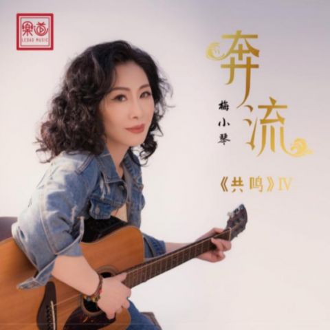 奔流 – 梅小琴-无损音乐
