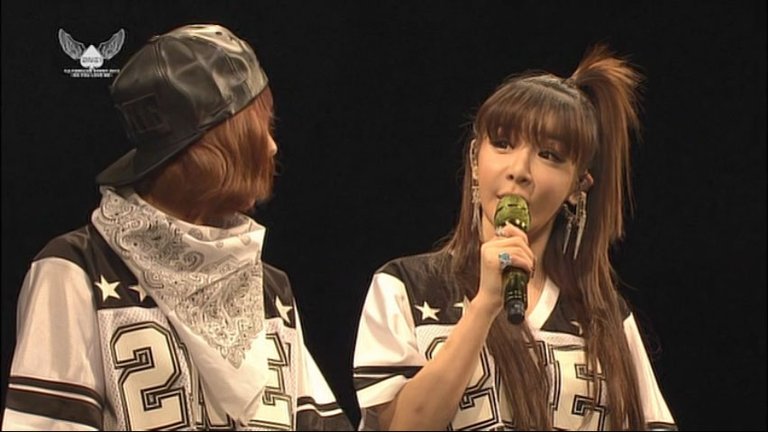 2NE1 《CRUSH 付属DVD》 2014 演唱会 [2DVD ISO 6.04GB]