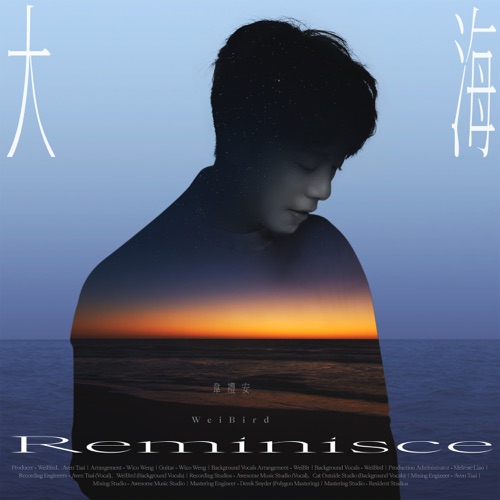 大海 – Single – 韦礼安-无损音乐
