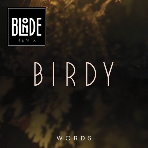 Words (Blonde Remix) – Single – Birdy-无损音乐