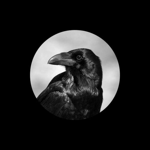魏然 成语接龙-无损音乐