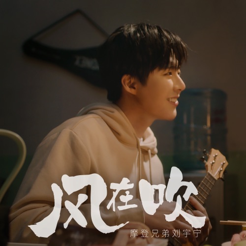 风在吹 – Single – 刘宇宁-无损音乐