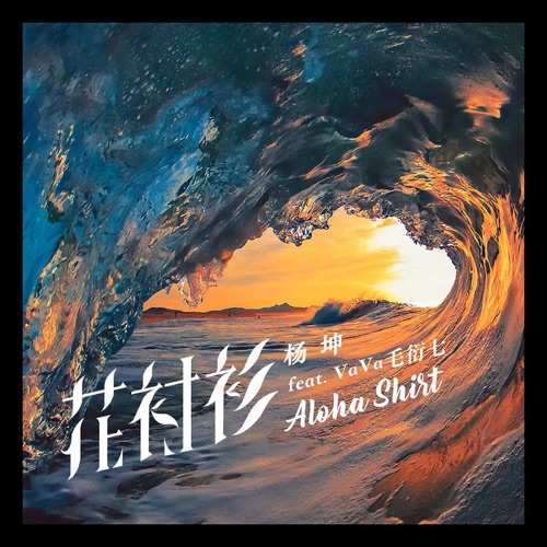 花衬衫 – Single – 杨坤 & VaVa毛衍七-无损音乐