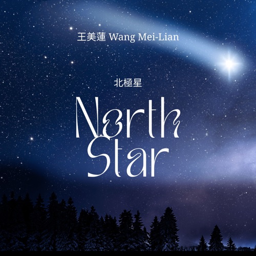 北极星 – Single – 王美莲-无损音乐