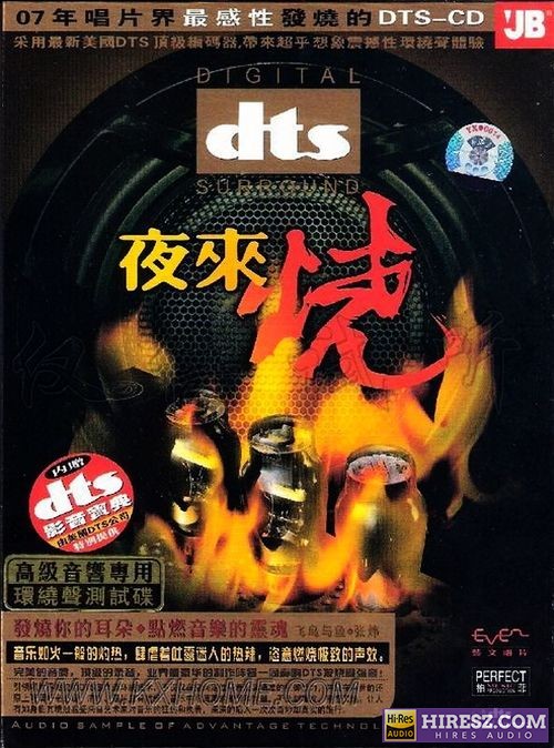 《FLAC5.1 顶级录音 极致声效 张炜》 Hi-Res无损专辑 [夜来烧]-无损音乐