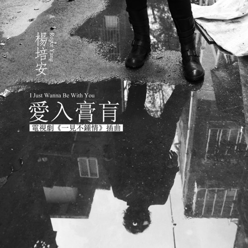 爱入膏肓 (电视剧《一见不钟情》插曲) – Single – 杨培安-无损音乐