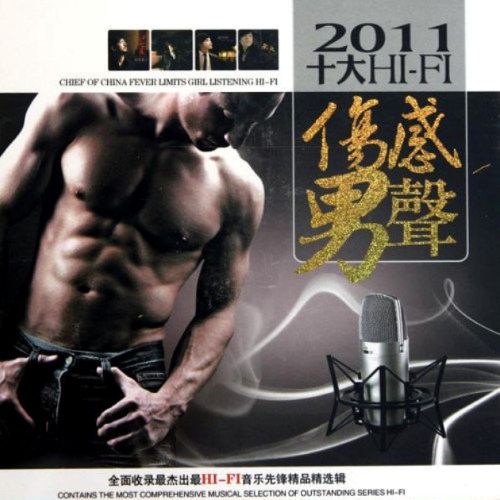 十大HIFI伤感男声B – 选自《男人的寂寞》 [5.1声道]-无损音乐